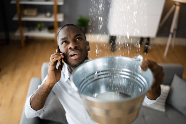 Best Sewage cleanup and water damage restoration  in London, KY