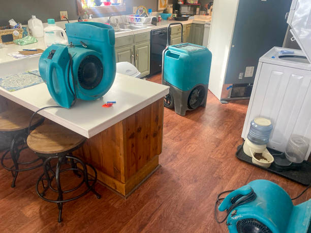Best Water damage restoration near me  in London, KY