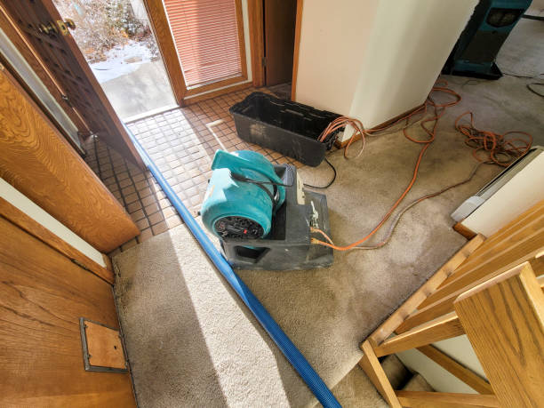 Best 24/7 water damage repair  in London, KY