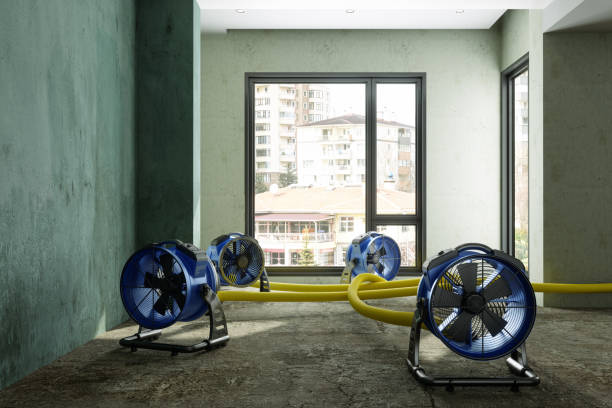 Best Emergency water damage restoration  in London, KY