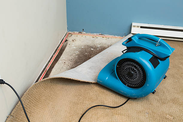 Best Water damage restoration near me  in London, KY